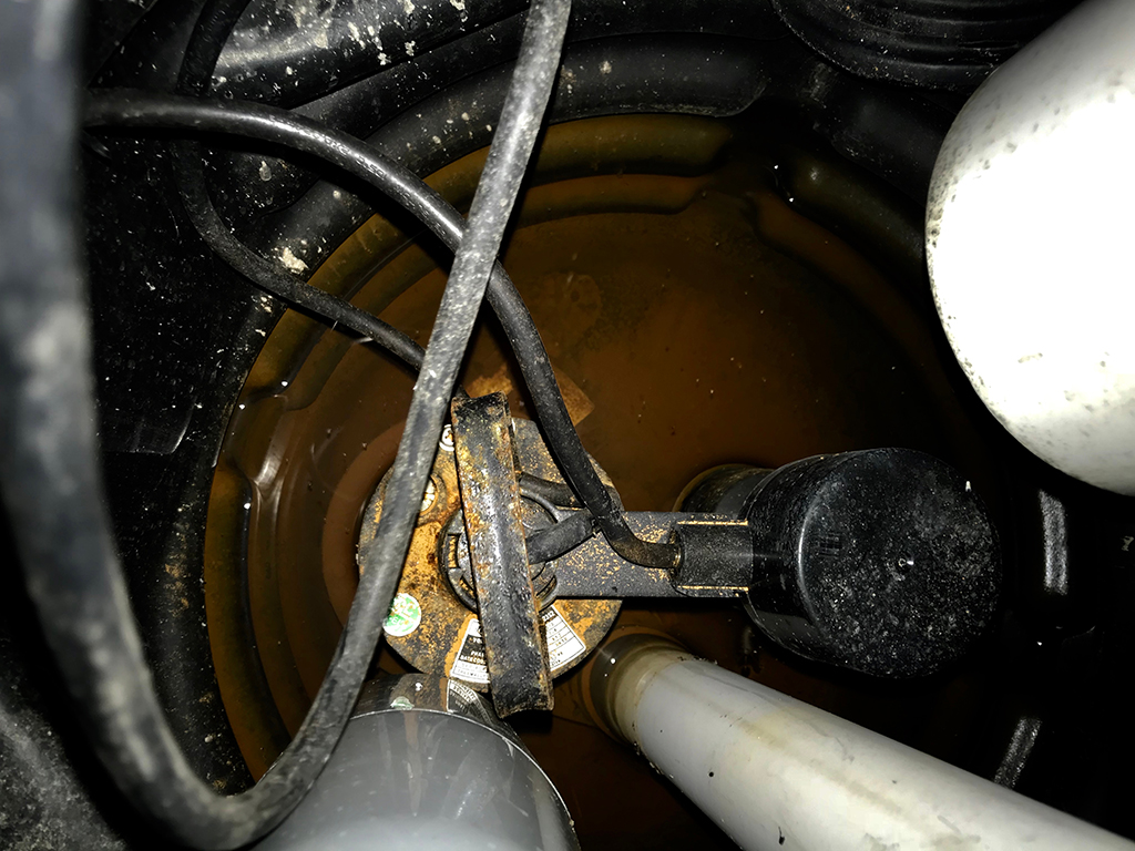 What Are The Sump Pump Issues Your Plumber Most  Frequently Encounters? | Odessa, FL
